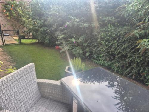 Un jardín fuera de Seeotter