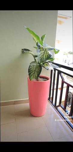 a plant in a red pot sitting on a floor at Comfort furnished apartments in Kampala