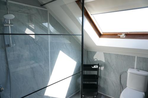 baño con aseo y tragaluz en Kustverhuur, Vakantiepark Fort Soleil 28, en Breskens