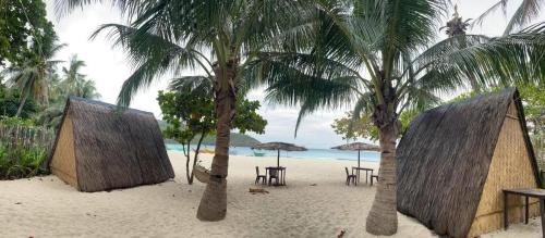 Příroda nedaleko bed and breakfast