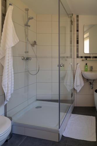 a bathroom with a shower and a toilet at DK Glasmanufaktur GmbH in Wurzbach