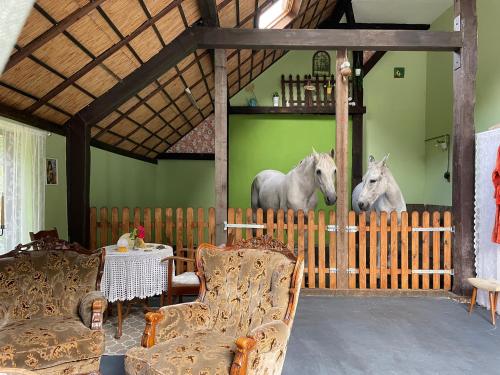 Zvířata v bed and breakfast nebo okolí