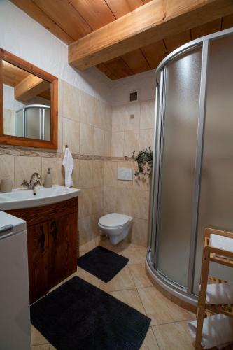 a bathroom with a shower and a toilet and a sink at Byt pri jazere in Spišský Štiavnik