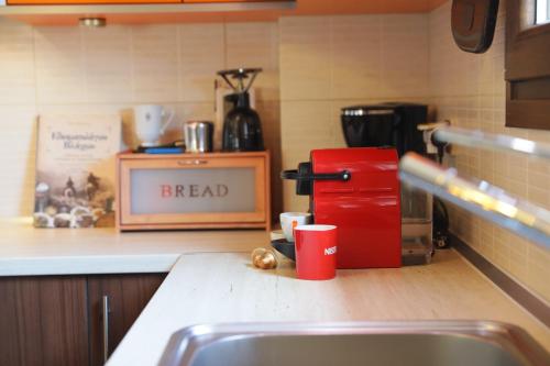 a kitchen counter with a red coffee maker next to a sink at The dreamhouse kastoria in Dhendrokhórion