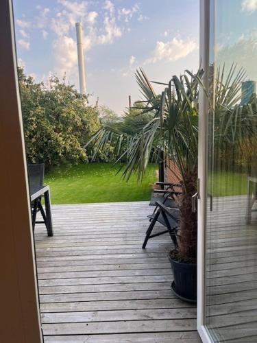 an open door to a patio with a potted plant at Stue villa lejlighed med adgang til stor have in Herning