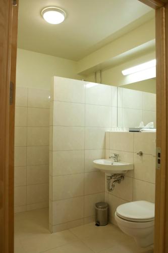 a bathroom with a toilet and a sink and a mirror at Hotel Hallormsstadur in Hallormsstaður