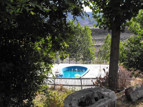 a small swimming pool in a yard with a tree at Vista Hermosa Conguillio in Conguillío
