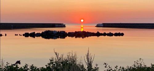 a group of birds sitting on the water at sunset at Villa 16 in Kivik