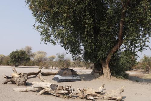 a tent sitting under a tree on a beach at Muke Village Camping in Livingstone