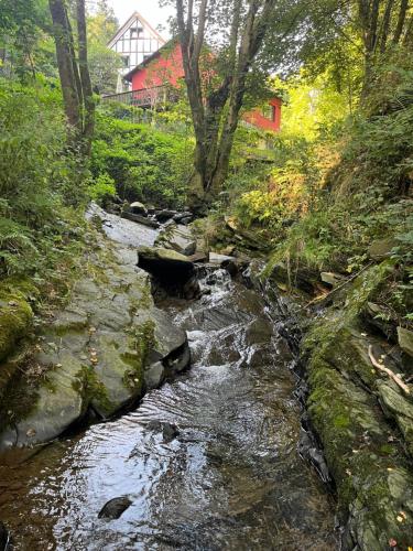 a stream in a forest with a house in the background at Rivendell 9 in Monschau
