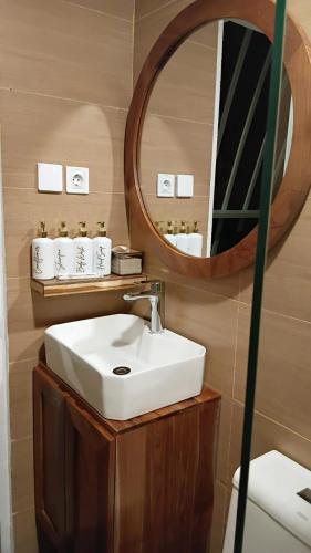 a bathroom with a sink and a mirror at Jasmine River Guest House in Canggu
