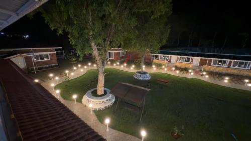an overhead view of a yard with a tree and lights at Magnolia Fields in Neral
