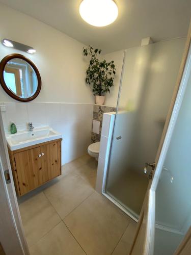 a bathroom with a shower and a sink and a toilet at Sunny studio Prague in Prague