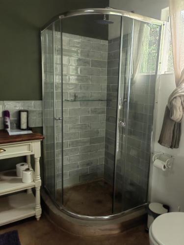a shower in a bathroom with green tiles at Sounds in Silence - Misty Forest Garden in Balgowan