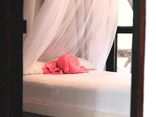 a bunk bed with a pink stuffed animal on it at Melo Party Hostel Capurgana in Capurganá
