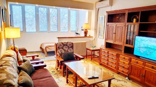un salon avec un canapé et une télévision dans l'établissement Home Sweet Home No1, à Belgrade