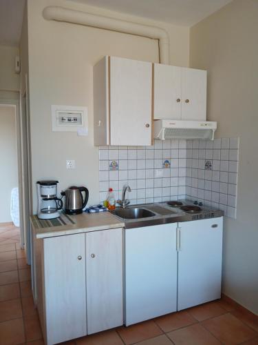 Kuchyň nebo kuchyňský kout v ubytování Kritikos Rooms