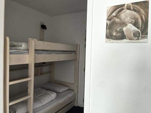 a bedroom with bunk beds with a picture of a dog at Résidence Le Portillo - Piscine - Studio pour 4 Personnes MAE-5293 in Gourette