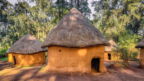 two huts with thatched roofs in a field at Villa Rosa Kempinski in Nairobi