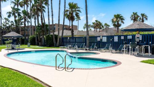 a swimming pool with chairs and palm trees at Surfside II #109 home in Coffeyville