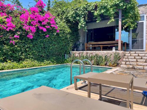 Πισίνα στο ή κοντά στο Luxury Stone Villa with Private Pool