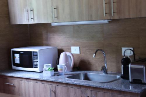 Dapur atau dapur kecil di Cipreses Lodge