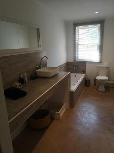 a bathroom with a sink and a tub and a toilet at Sounds in Silence - Misty Forest Garden in Balgowan