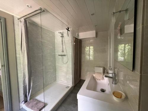 a bathroom with a shower and a sink at Besançon: charmant duplex au pied de la citadelle in Besançon