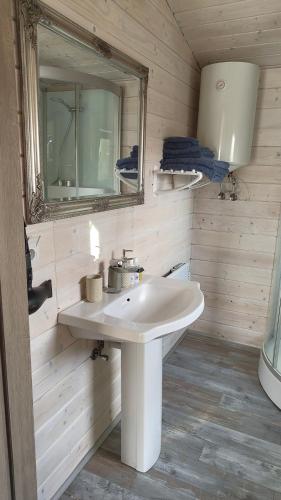 a bathroom with a white sink and a mirror at Olly House in Glebovka