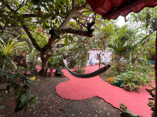a hammock hanging from a tree in a garden at Hostal Vista al Mar in Puerto Ayora