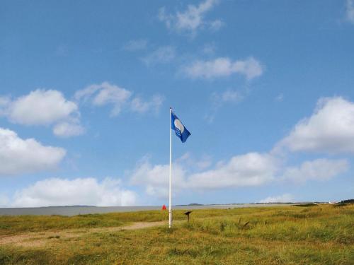 a blue flag on a pole in a field at Holiday Home Angantir - 700m to the inlet by Interhome in Løgstør