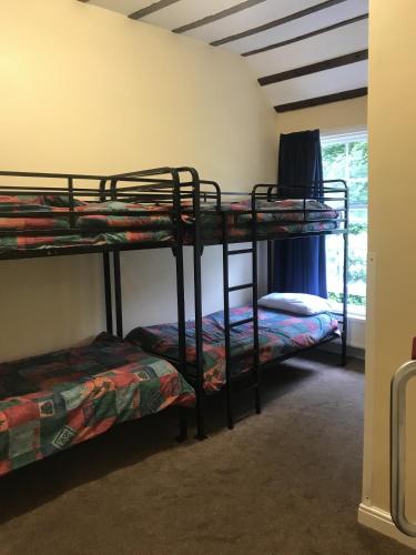 two bunk beds in a room with a window at Soli Hostel in Alton