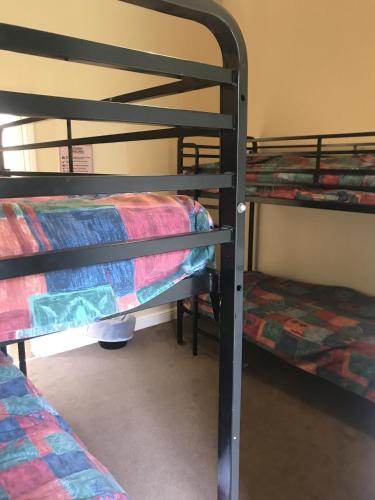 a group of bunk beds in a dorm room at Soli Hostel in Alton