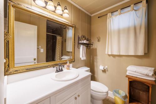 une salle de bain avec un lavabo et un miroir et des toilettes dans l'établissement Mountain & Sunset Views - Walk to Downtown Mentone, à Mentone