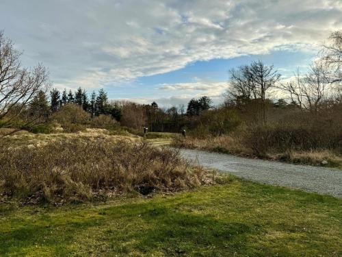 a winding road in a field with grass and trees at Holiday Home Skammel - 900m from the sea by Interhome in Bindslev