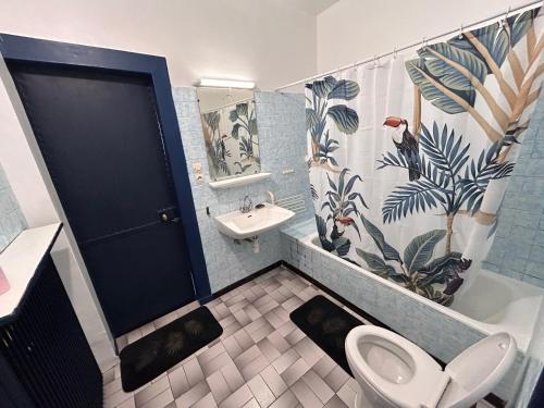 appartement spacieux en centre ville
