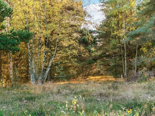 Příroda nedaleko prázdninového domu