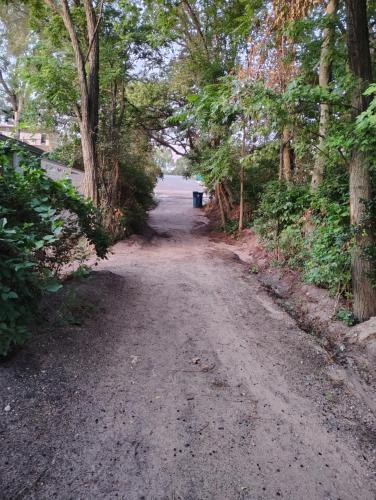 アパートメントの近くで見られる自然の景観