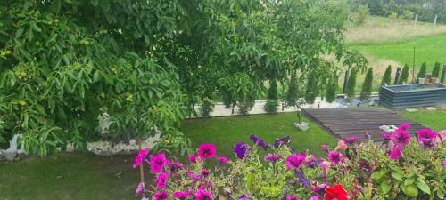 Jardín al aire libre en Gemütliche Wohnung in St Georgen nähe Attersee