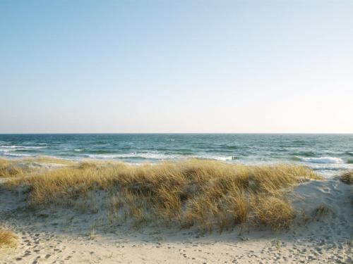 Una playa con césped y el océano al fondo. en Apartment Atena - 250m from the sea by Interhome, en Neksø