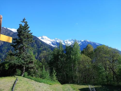 a hill with a tree and mountains in the background at Auberge le Chaudron in Montsapey