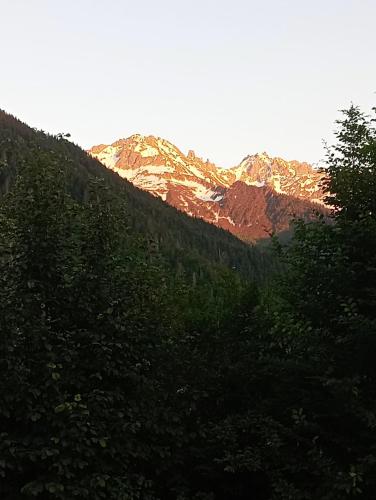 a mountain in the distance with trees in the foreground at Auberge le Chaudron in Montsapey