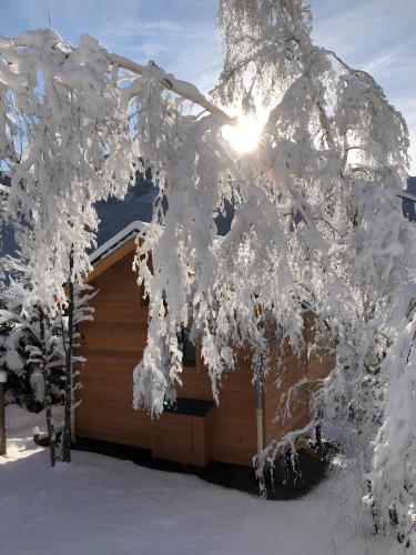 Mini Chalet Ananda v zimě