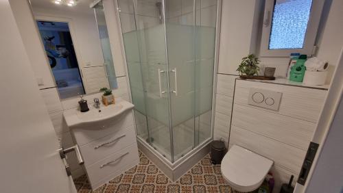 a bathroom with a shower and a sink and a toilet at Wohnung I im Vierländereck I Auszeit I Rheintal in Rebstein