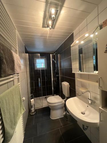 a small bathroom with a toilet and a sink at Ferienhaus Hörbach - Die kleine Auszeit in Herborn
