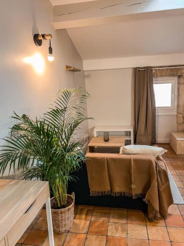 a living room with a table and a plant at Studio cosy Villefranche-Sur-Saône in Villefranche-sur-Saône
