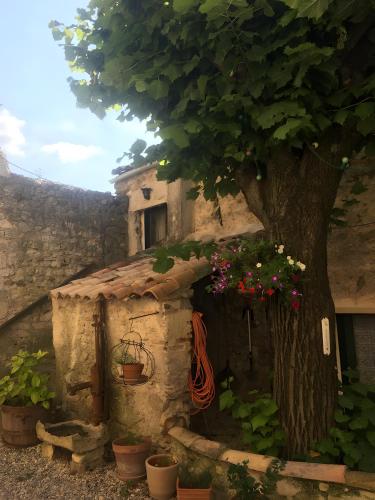 an old house with a tree and some flowers at Chez Janie Hirst - Chambres d'hôtes in Montboucher-sur-Jabron