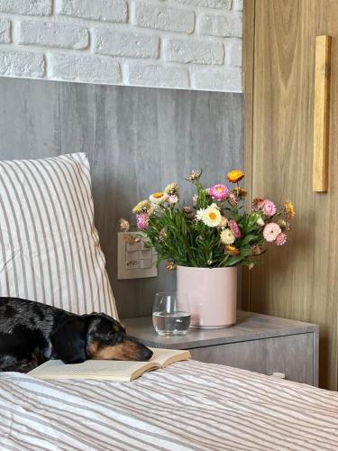a dog laying on a bed with a book and flowers at Brava Paradise in Cabeçudas
