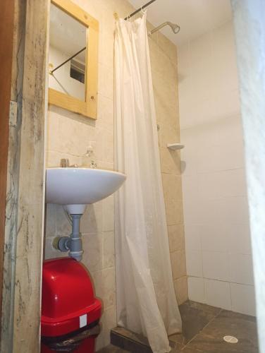 a bathroom with a sink and a shower curtain at Hermoso Palomino in Palomino