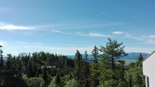 a view of a forest of trees from a building at Apartment Zama in Štrbské Pleso